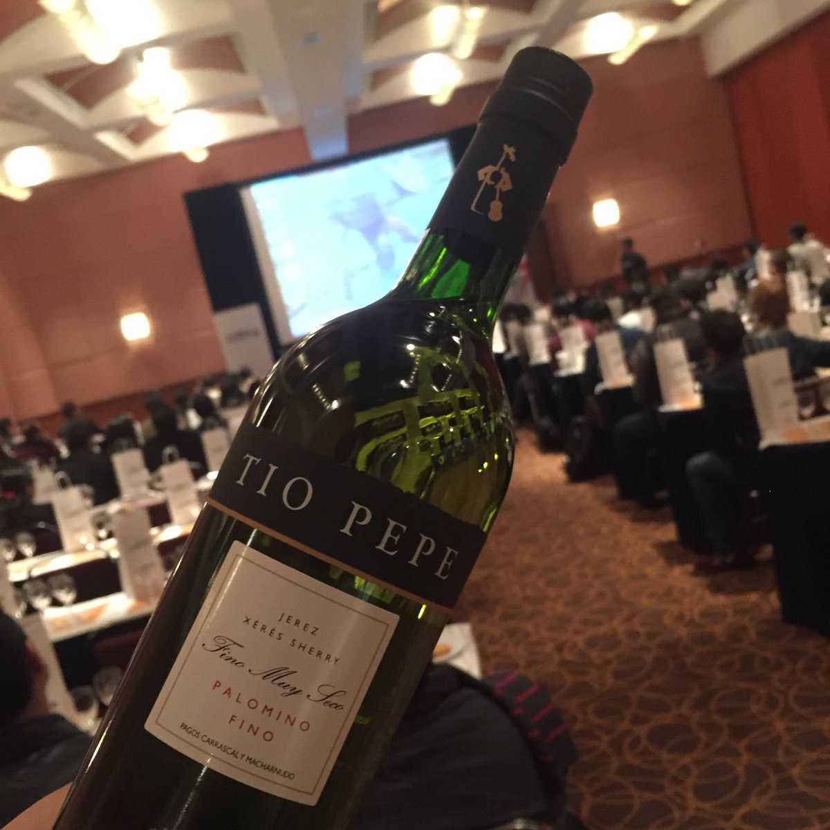 PabloSalinas9's tweet photo. #TheSherryApprentice2016 #México #TioPepe https://t.co/CBNNDkeECR