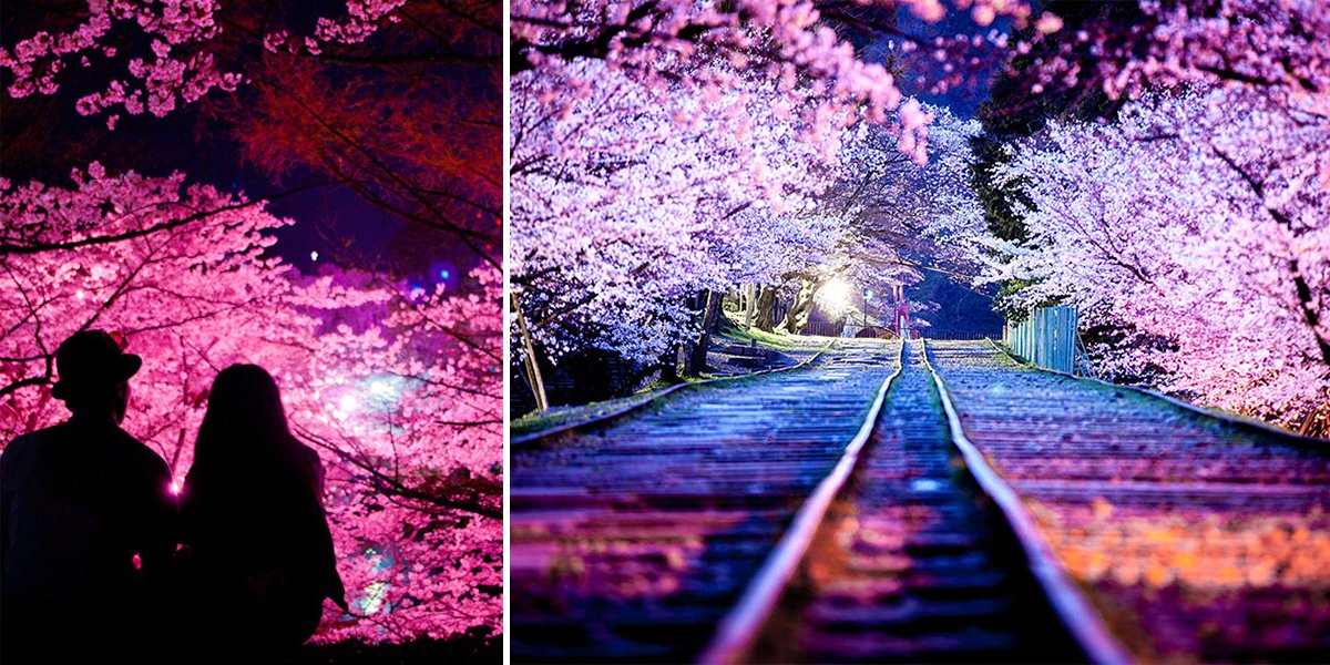 Vi siete mai chiesti il senso profondo dell'#Hamami? #Japan #Tohoku #CherryBlossom #sakura on.fb.me/1QURY5H