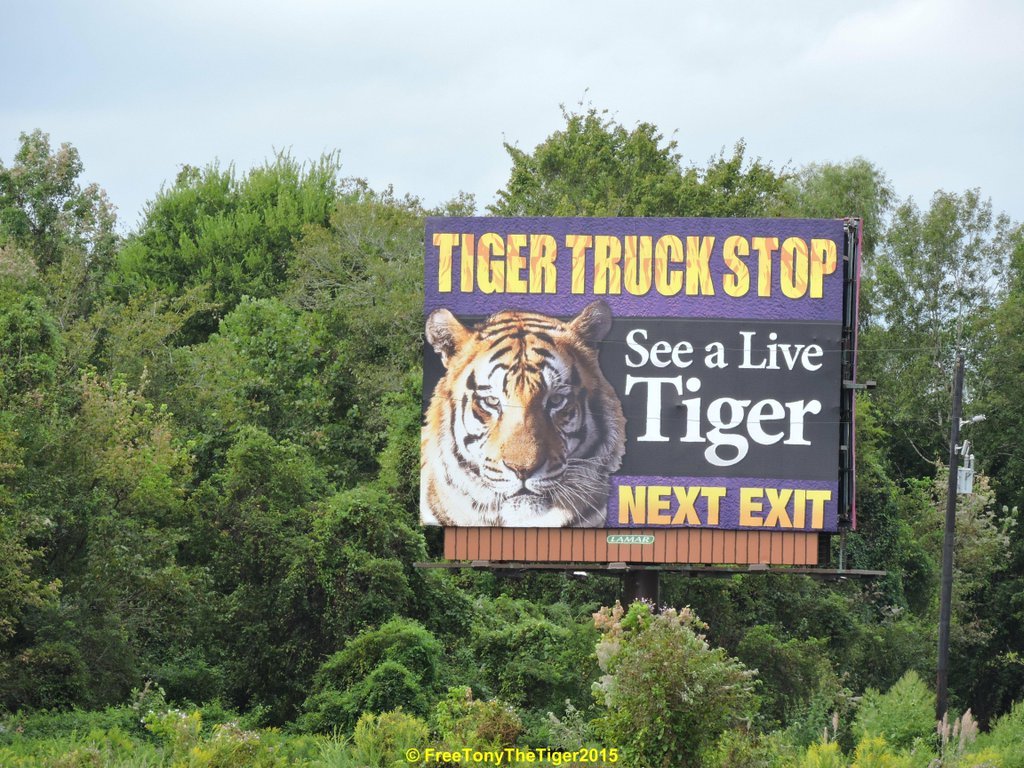 Free Tony The Tiger on Twitter "If you visit Tony PLZ post pics/video