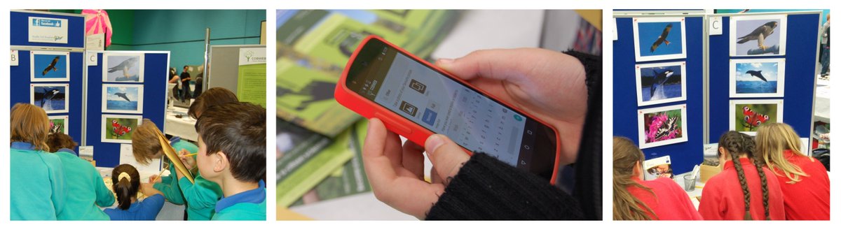 CobwebFP7's tweet image. Pupils from @biosfferdyfi learning about #cobwebfp7 and #citizenscience! #everyonesascientist #BSW16 #Aberystwyth