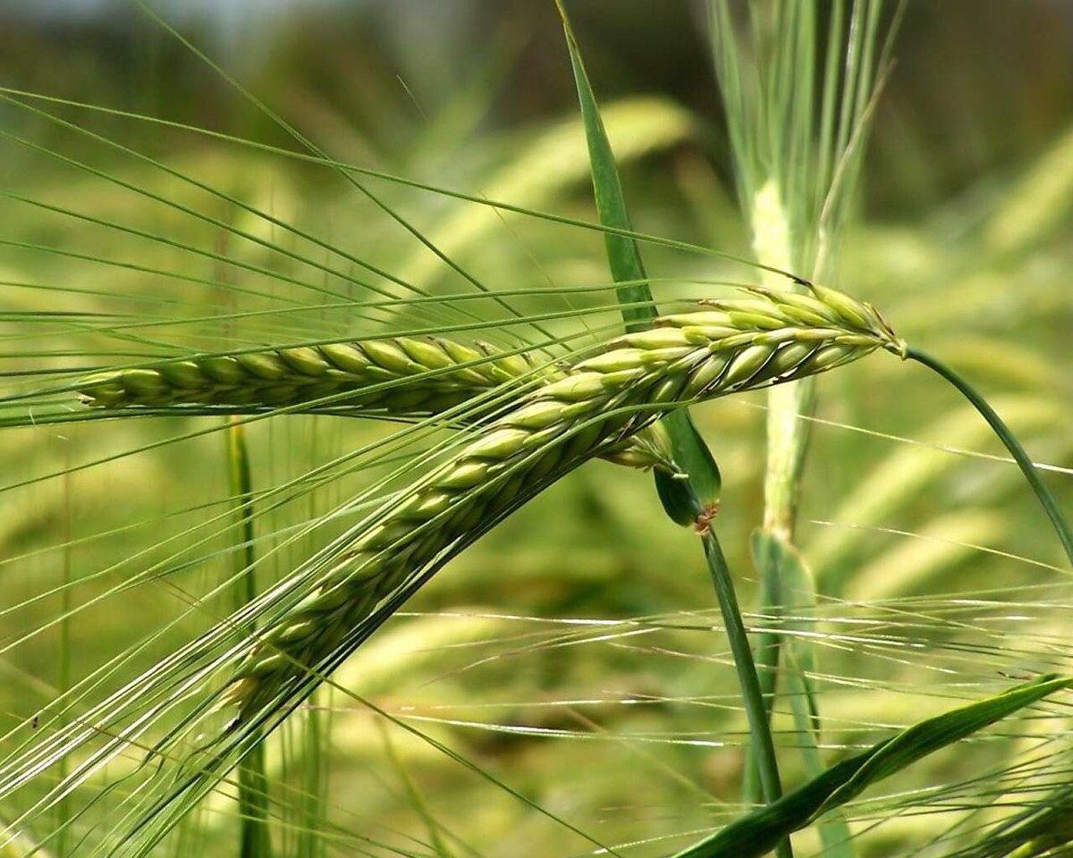 نزار الشهري (@nezr2000) on Twitter photo 