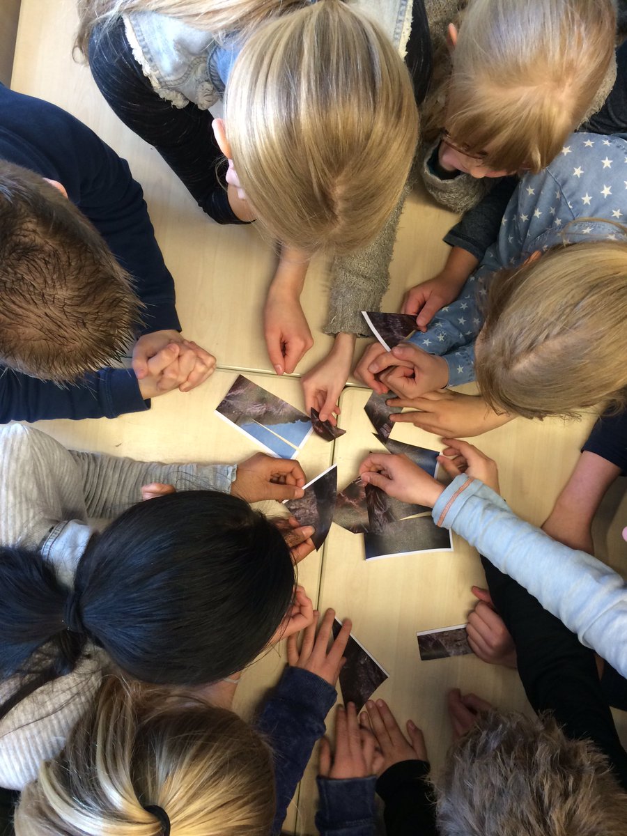 cocongroep7's tweet photo. Een puzzel van een...........
Welke kom je liever niet tegen??? https://t.co/nc5AnR35IA