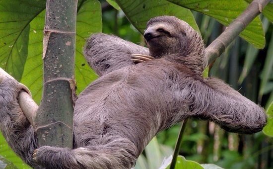 MIKESALDIVAR3's tweet photo. K FLOJERA#TENGOSUEÑO

 https://t.co/4rgpxBj8Wh