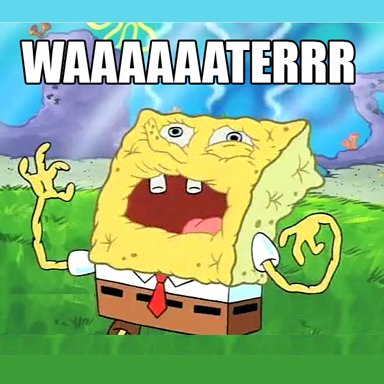AuburnStudents's tweet photo. Don’t be like Spongebob. Stay hydrated this Spring Break. #AUTripTips https://t.co/EH2tkBrfF3