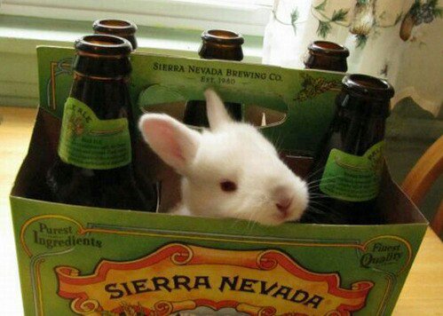 DrunkStateWeb's tweet photo. Want beer with more hops? Get it right hare #HopsLikeJordan #funny #meme #drunk #drunkstate https://t.co/AofBJIRXvA