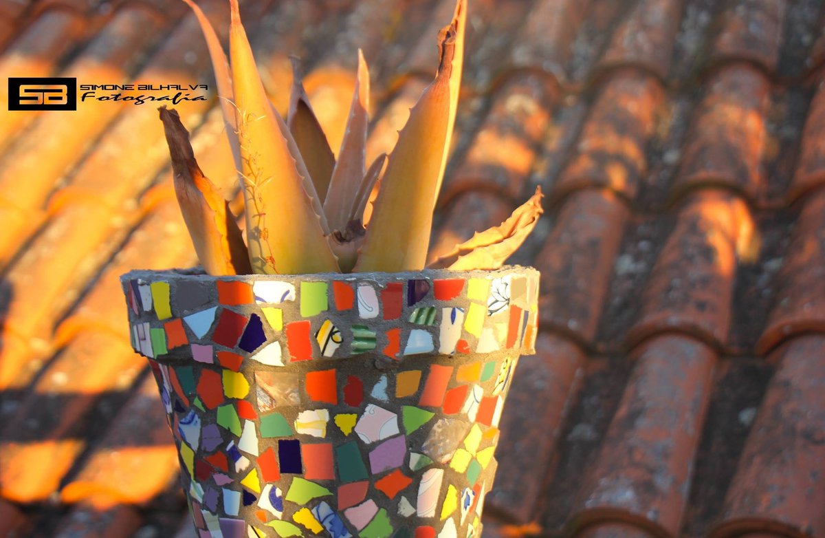 Prefeitura de Gramad tweet media