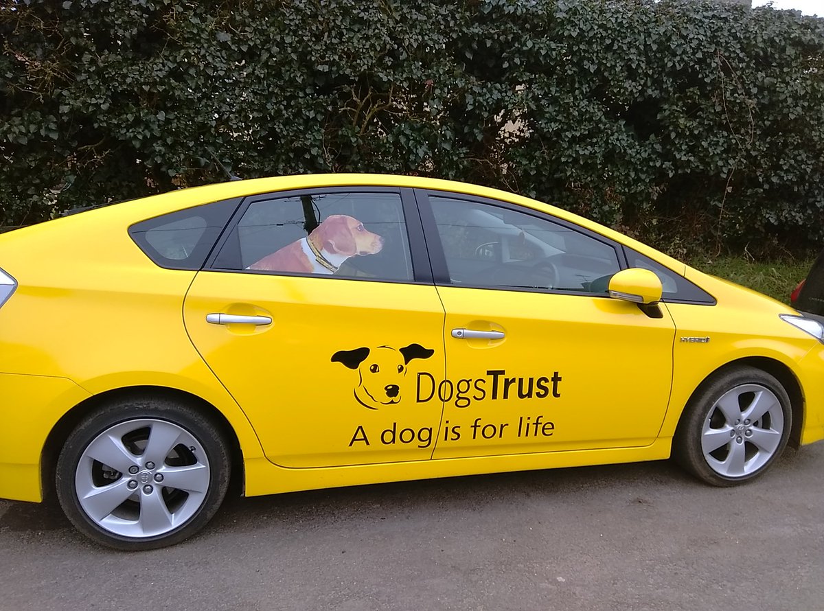 Middleton Primary tweet media