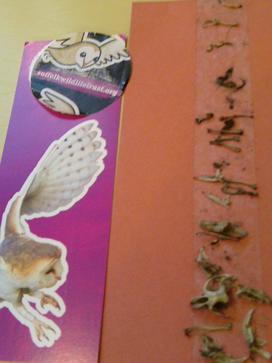 Middleton Primary tweet media