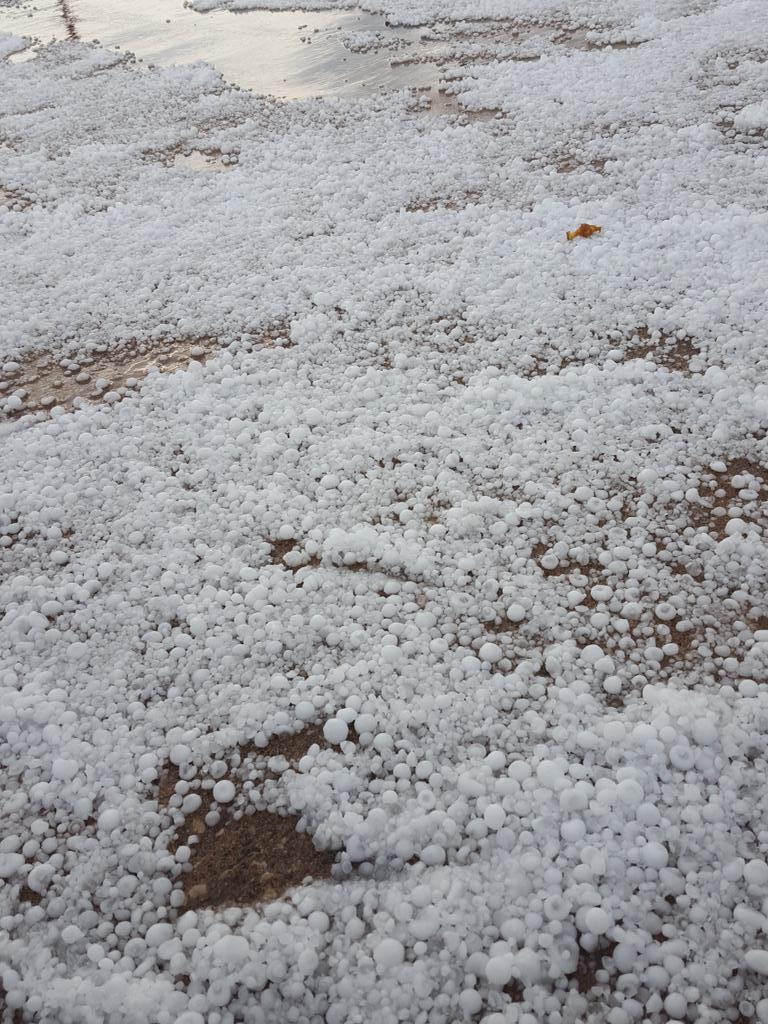 cslouha's tweet photo. #BearsCage @IAStormChasing @stormchasernick https://t.co/BL2zvoyGJj