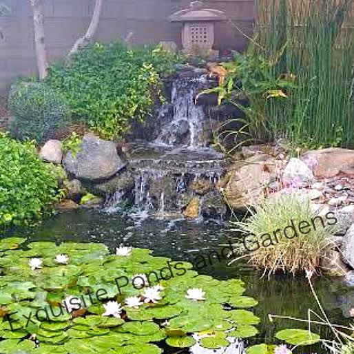 Ponds help create an escape from reality that you may be looking for after a long stressful day at work.