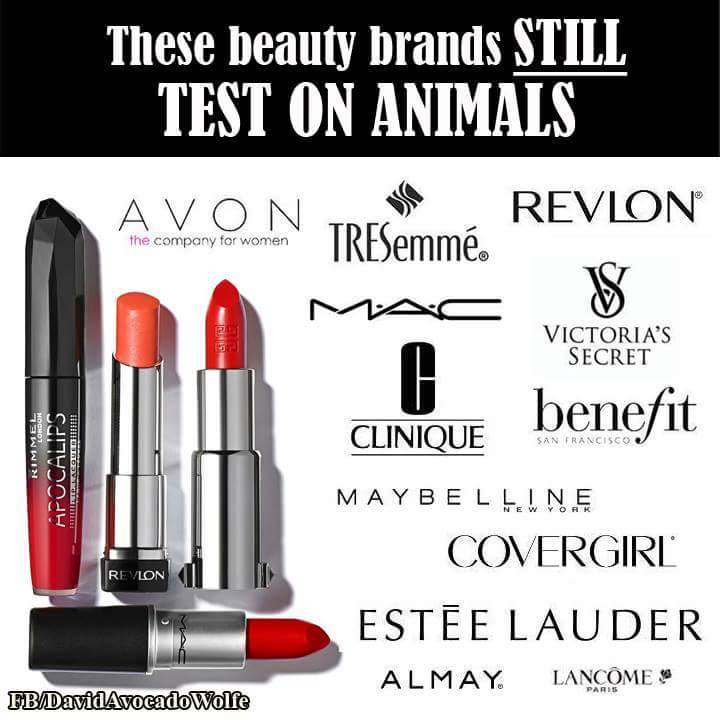 AllAboutMeLooks's tweet photo. #stopanimaltesting #noneed #boycott #animaltesting https://t.co/G7A4JHowJP