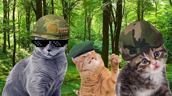 BenjaminDevos82's tweet photo. #forestlockdown https://t.co/20o83TLxIw