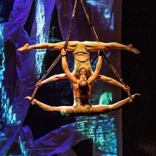 Lilylauu's tweet photo. equilibrismi. #Duum #Forli #Sonics https://t.co/yKoMFUch0R