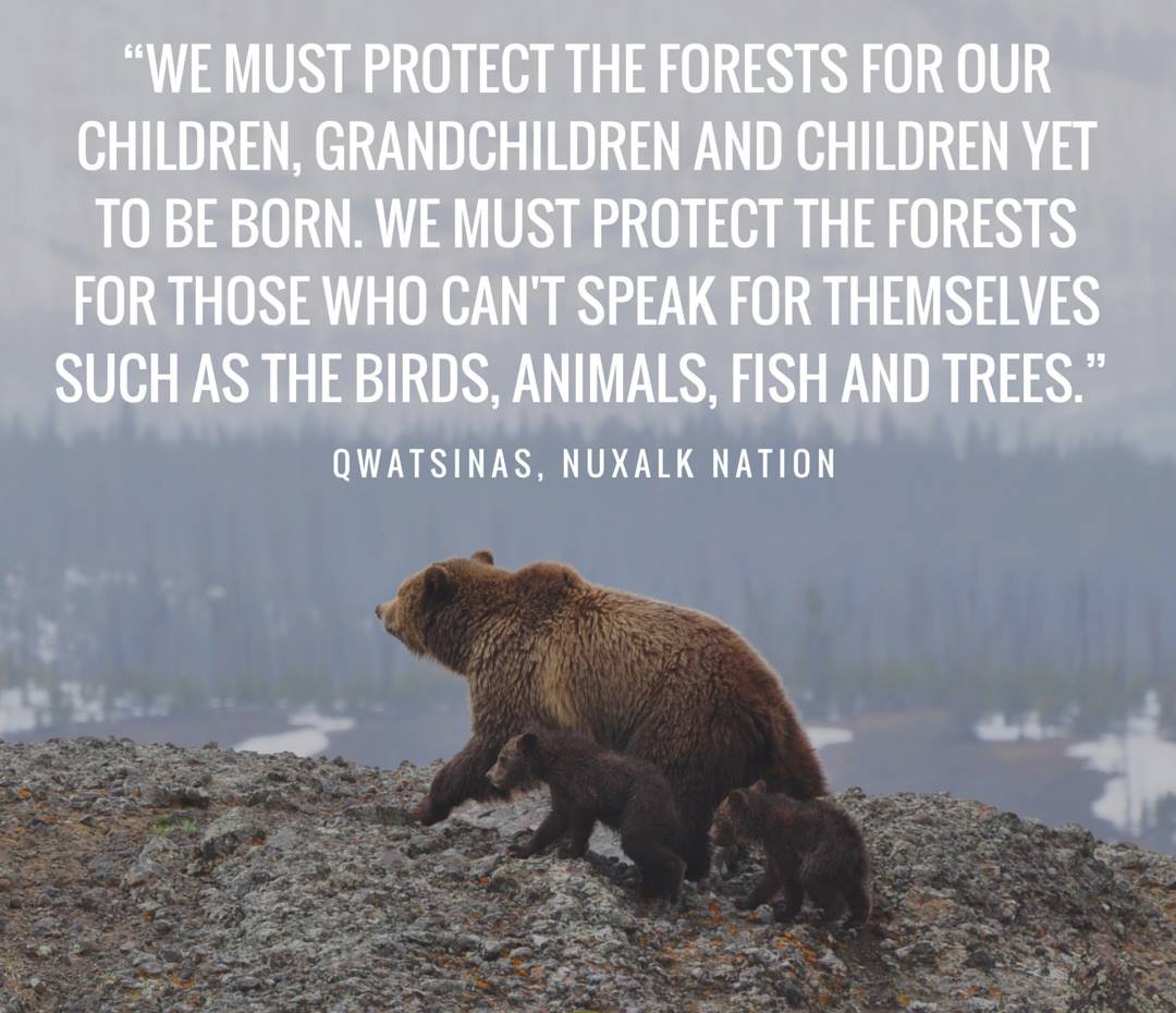 We must protect the forests... for those who can't speak for themselves such  as the birds, animals... ~Qwatsinas