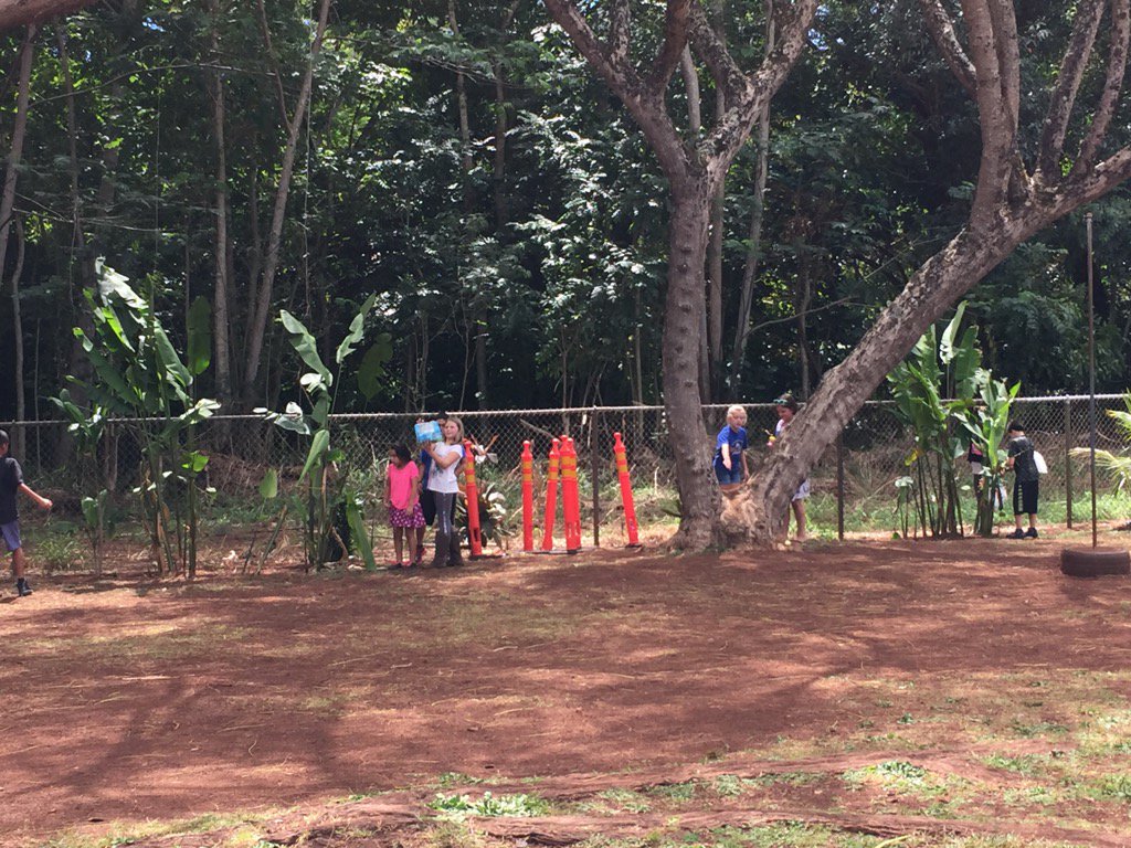 KinderOwls's tweet photo. Our 4th grade buddies hiding eggs for us to hunt. https://t.co/jv2MoOi23h