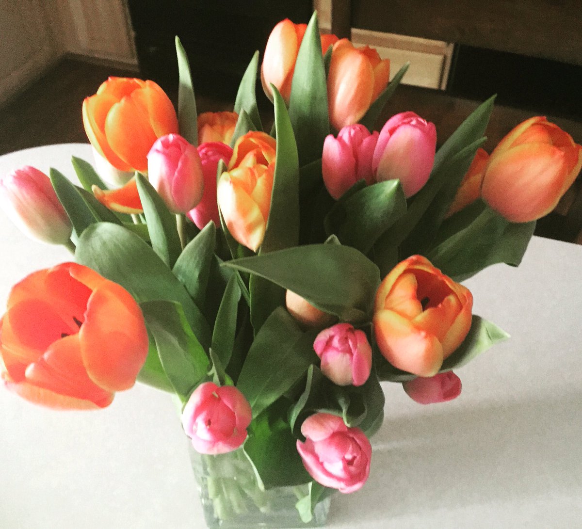 mslizlord's tweet photo. Husbands: how are YOU bribing your wife this #MarchMadness? @RustyLord does my favorite flowers. https://t.co/AIgJNP04iV