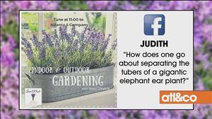 SOESays's tweet photo. Thank you Judith for your question!  We're glad we could answer it for you on @atlandco.  #viewerquestion #gardening https://t.co/wLDQM8PeD1