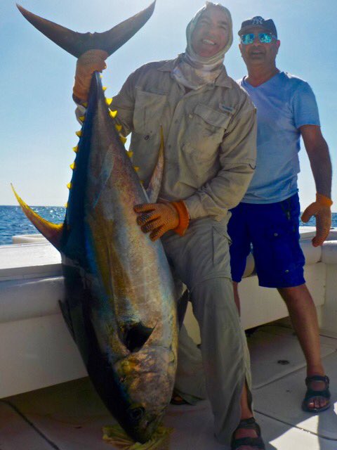 panamasportfish's tweet photo. Some of last weeks fishing action from PSFL.. Check it out. @_Darcizzle_ @VoyagesdePeche https://t.co/StRTIiVWES