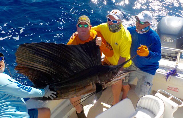 panamasportfish's tweet photo. Some of last weeks fishing action from PSFL.. Check it out. @_Darcizzle_ @VoyagesdePeche https://t.co/StRTIiVWES
