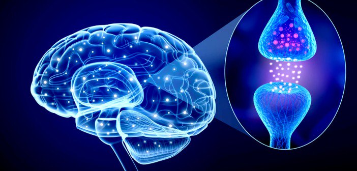 PsyPost's tweet photo. Psychedelic brew called ayahuasca shows promise in treating recurrent depression  https://t.co/lmwC1OzMuP https://t.co/s7MYyHAcJy