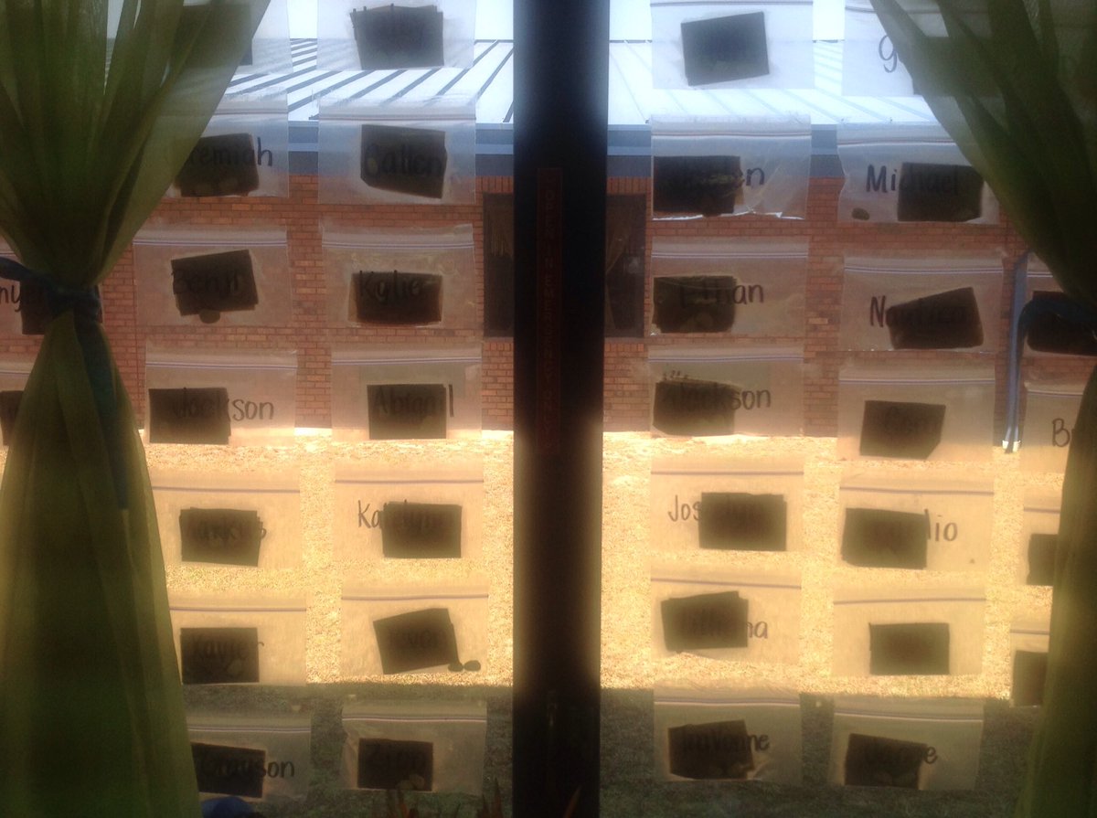 purvistce's tweet photo. Waiting patiently for our seeds to germinate☀️💧🌱 https://t.co/AYRTaB9Ctm