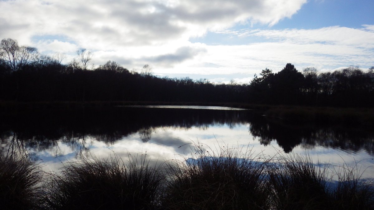 Anne Carter tweet media