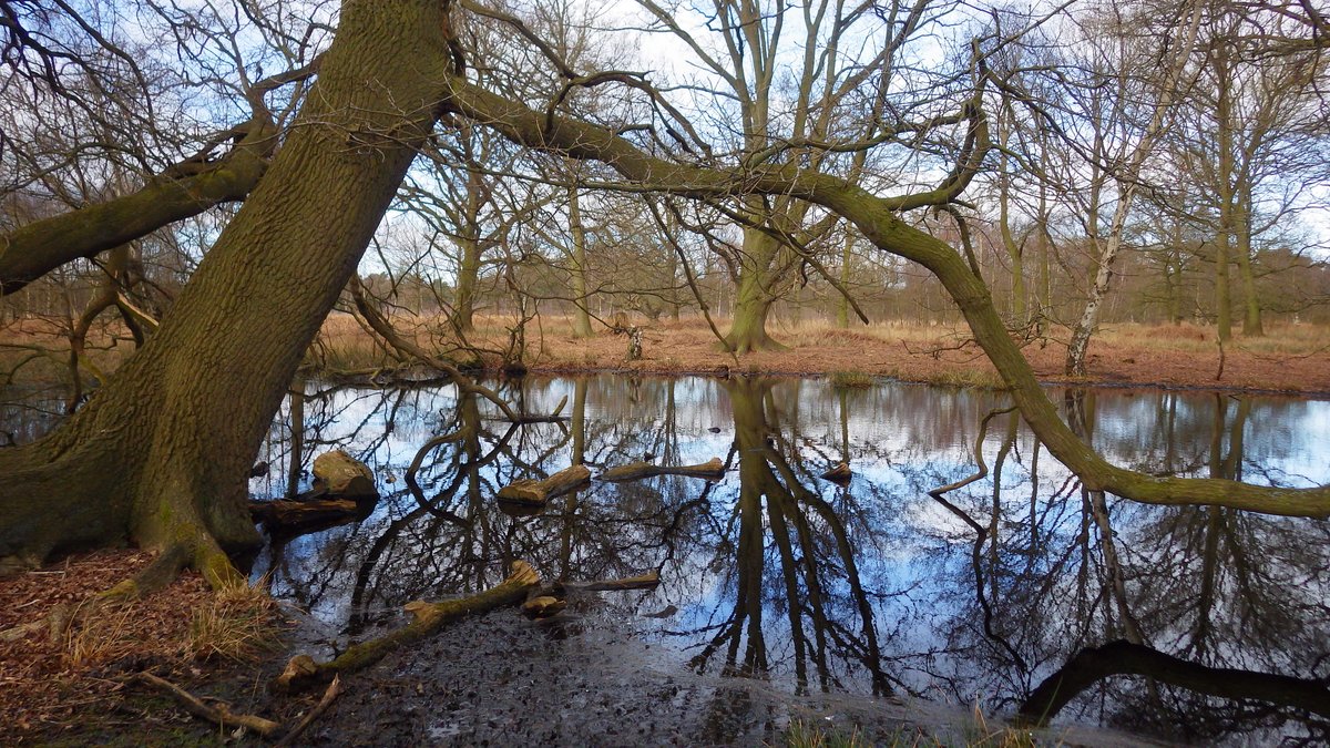 Anne Carter tweet media