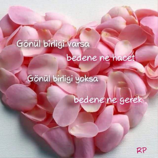 seravasar's tweet photo. https://t.co/12oloXcEYJ