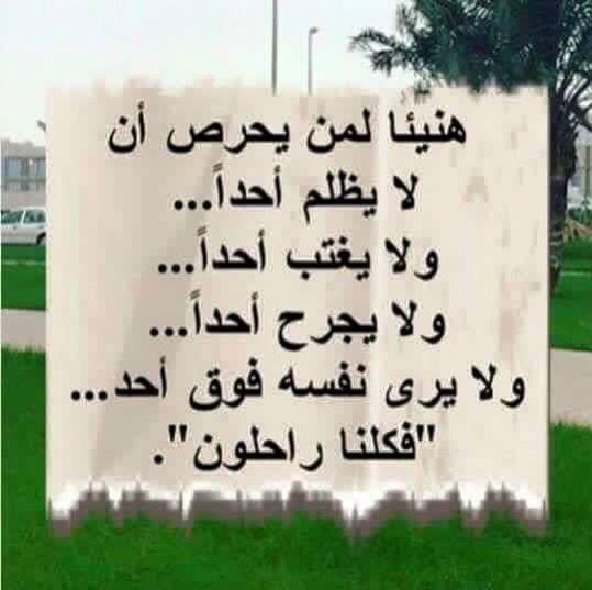 FDszo tweet picture