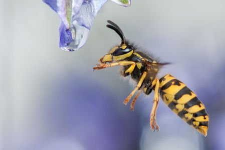 JeanVal26's tweet image. 