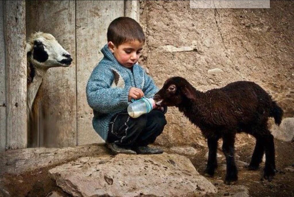 tariharsivi's tweet photo. Merhamet masum olduğu için her kalbe misafir olmaz.. https://t.co/18uvqirfKY