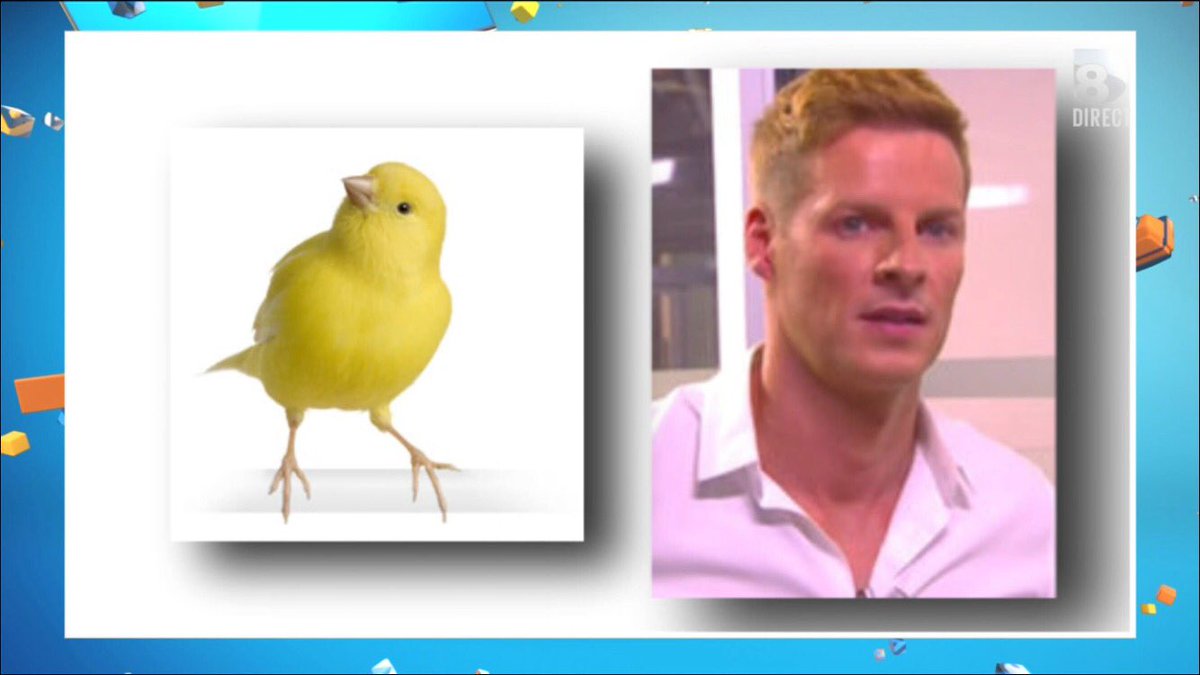 TBT9_W9's tweet image. Visiblement @Mdelormeau est passé par beaucoup de styles capillaires ! #TPMP