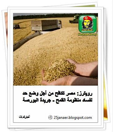 رويترز: مصر تكافح من أجل وضع حد لفساد منظومة القمح 