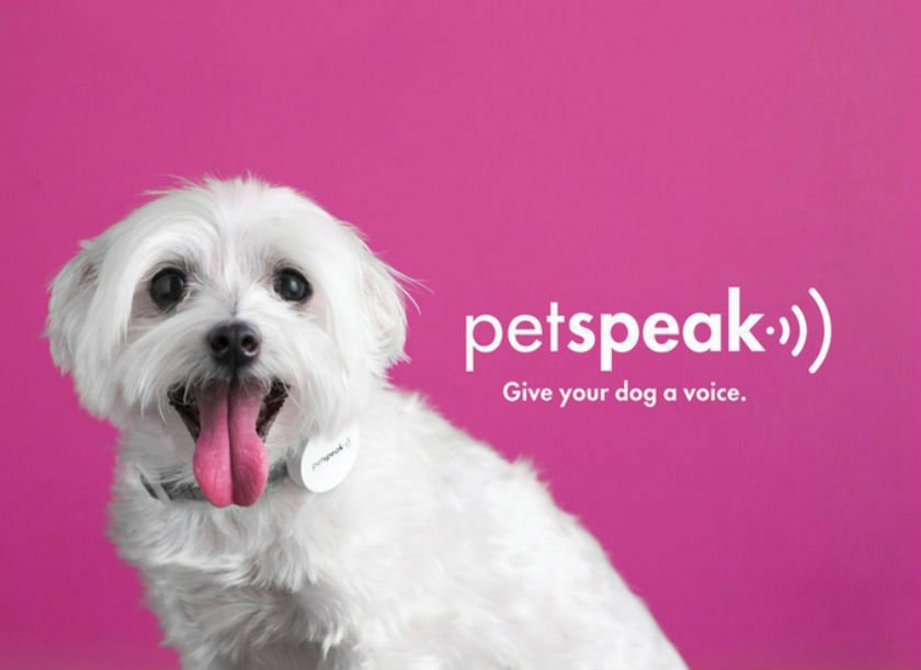 Soylamensajera's tweet photo. #PetSpeak, la voz de tu perro, ¿Qué esperas para descargarla? --> https://t.co/dq78cLuPd4 #GEEK https://t.co/5SHoOIUdtE