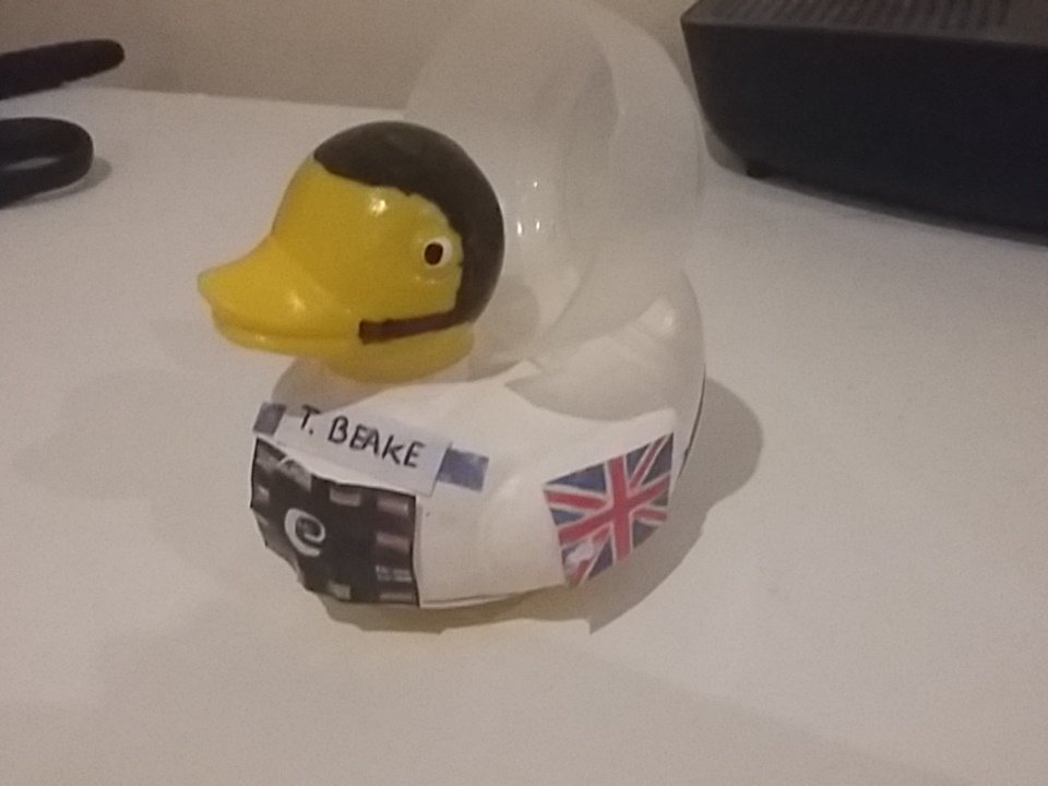 hmarshall93's tweet photo. @astro_timpeake... hope you'll cheer on Tim Beake in the @sainsburys sports relief duck race on Sat @WoodlandTrust https://t.co/6dCK1d5lOc