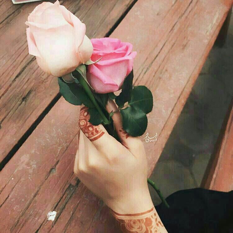 FgffMl's tweet photo. @aslplz_89 ربي يسعد امسياتك وايامك ياطيب تسلم https://t.co/IvUy4Lqdpr