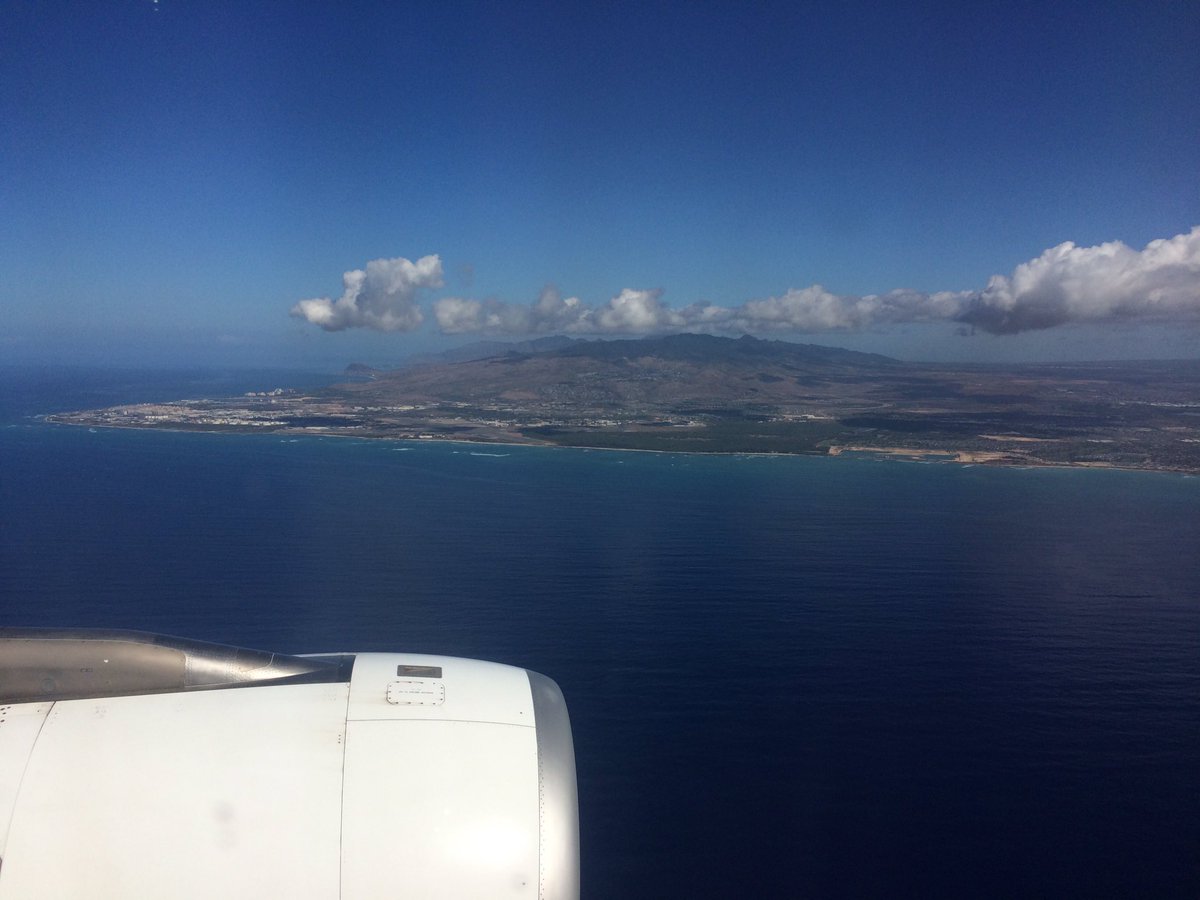 Beerdsly tweet media