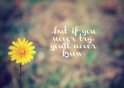 InnerLovePeace's tweet photo. #quote of the day #try https://t.co/sHtJ0YUSGq