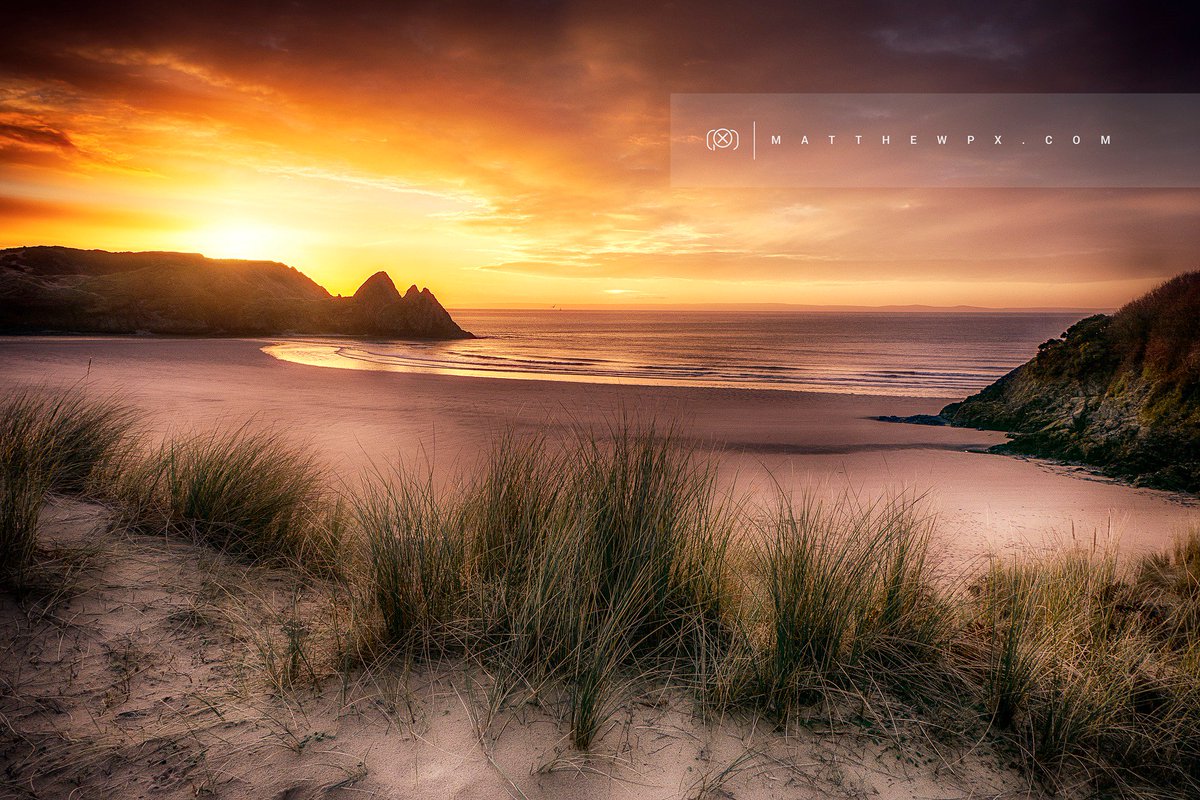 Matthew Roberts tweet media