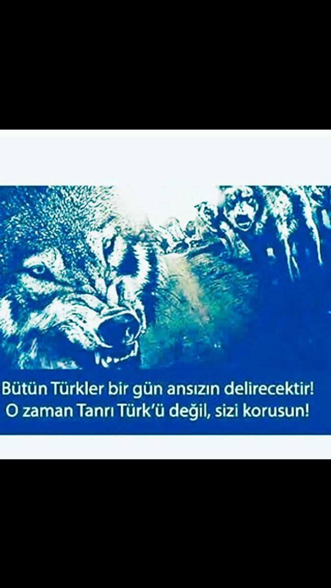 Halis ESEN (@halis25esen) on Twitter photo 