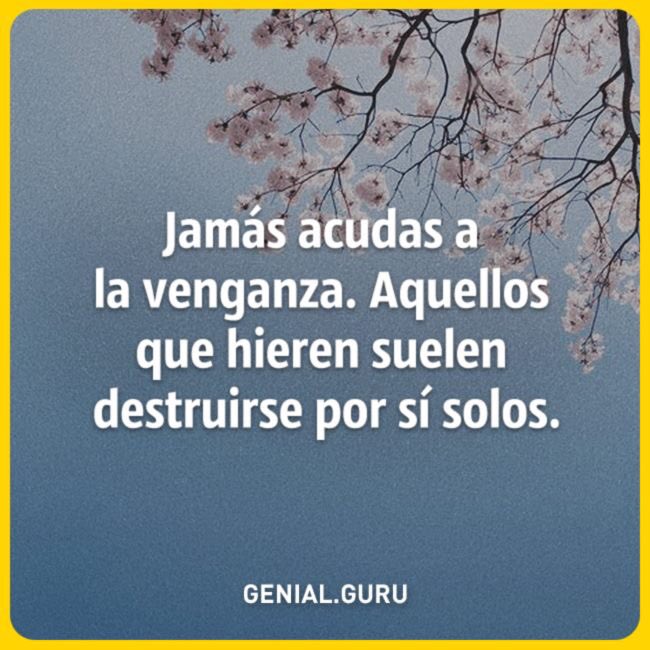 chrisperubra's tweet photo. Olorum está vendo.... https://t.co/VbrC4tb5ik