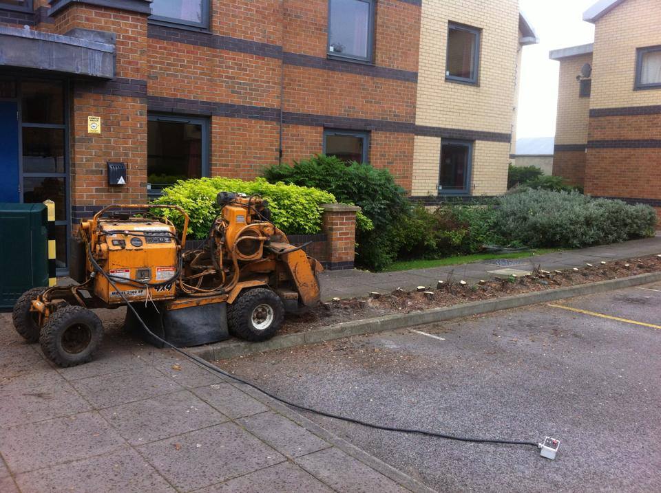 Treeservices96's tweet photo. Tree work at Leeds uni! https://t.co/hdPJcXu35U