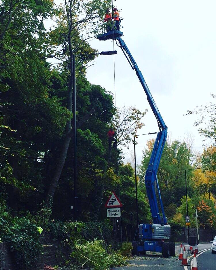 Treeservices96's tweet photo. Large job at the side of a main road going into Sheffield. https://t.co/HiTPlvtgzq