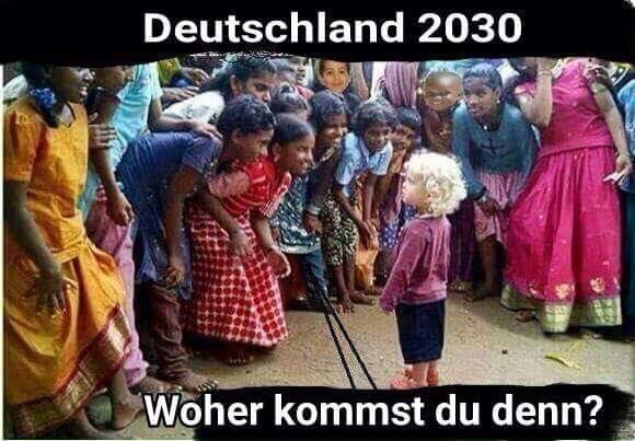 Thom_Elias's tweet photo. https://t.co/Xx7tbMwAi8