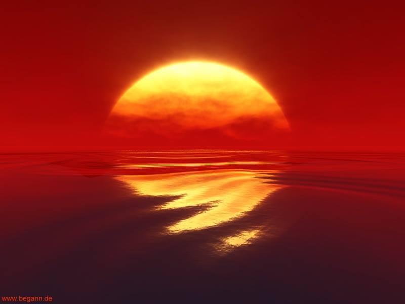 ZUltimateFallbr's tweet image. What is it about martial arts that helped millions of lives? I shall attempt to answer that. senseipaulcalabro.wordpress.com/2016/03/15/sel…