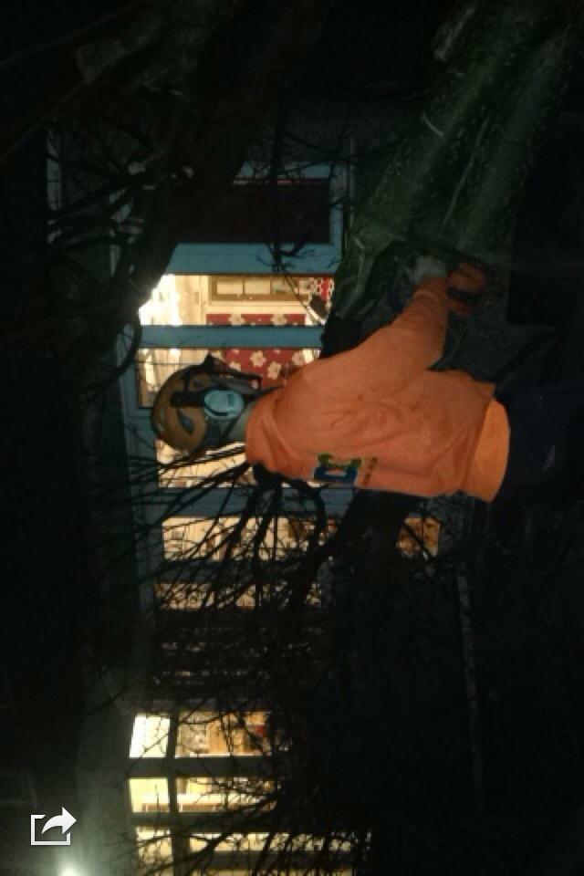 Treeservices96's tweet photo. Emergency call out in Mirfield tonight where a large tree has fallen on a house, working into the night to make safe https://t.co/bQyhhZra0c