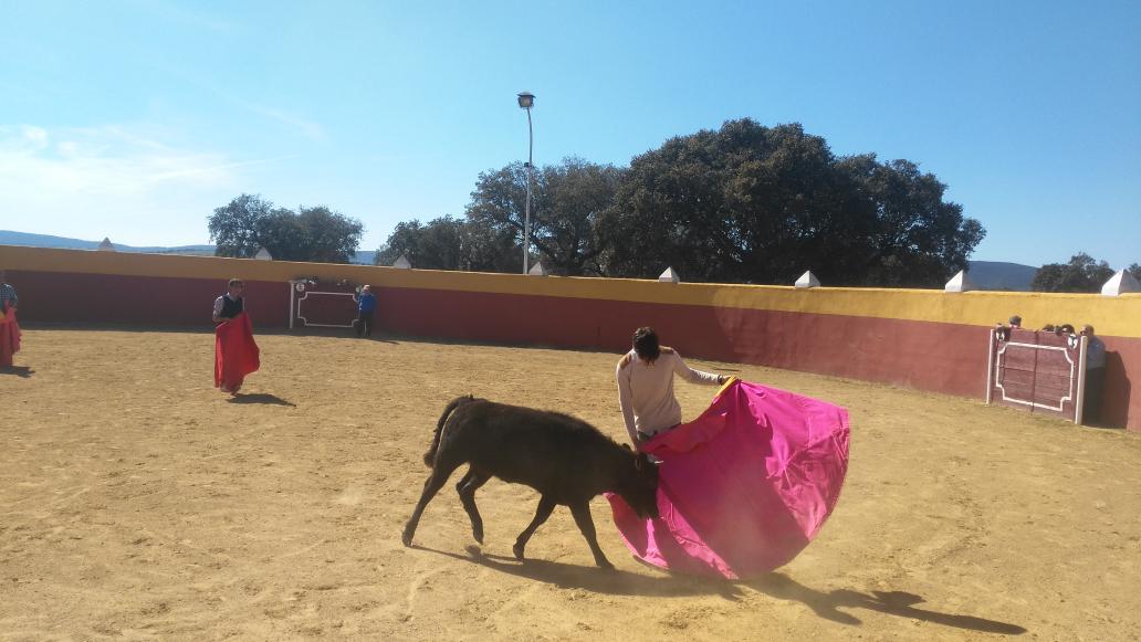 Bonito día el pasado domingo en la ganadería "Los Espartales" donde cambié los caballos por la muleta y capote.