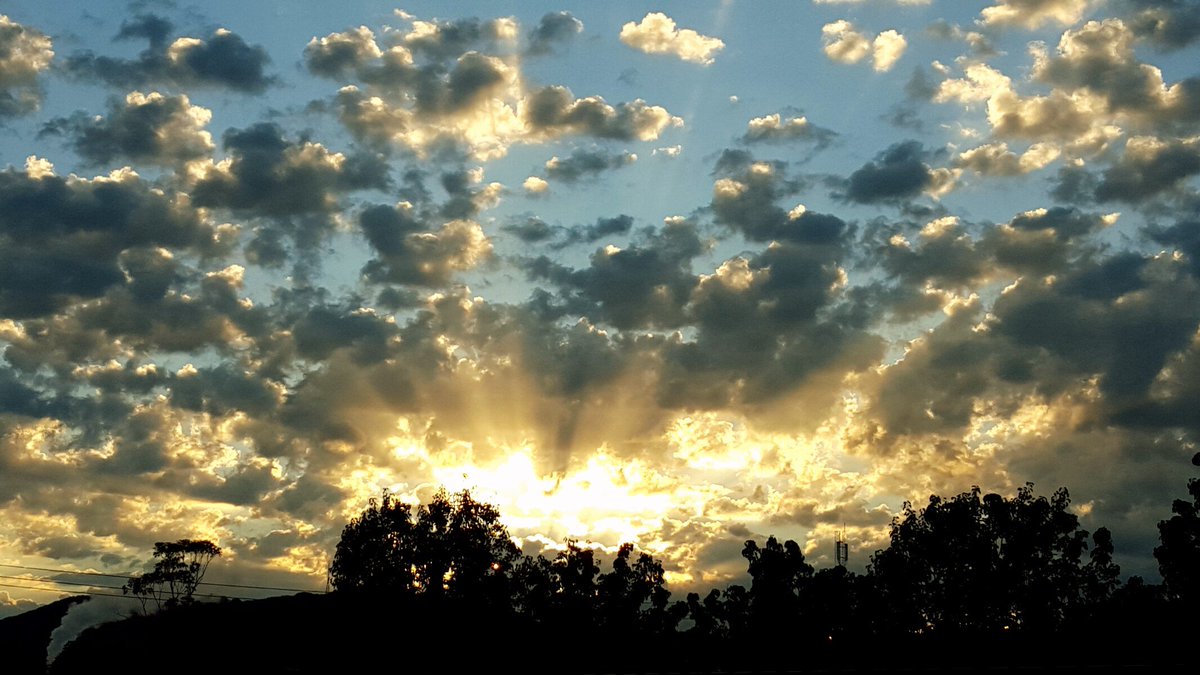 heidivic's tweet photo. Seize the day! Another amazing morning in #bayswaterdistrict. #heidispics https://t.co/ZO3lbyB8bZ
