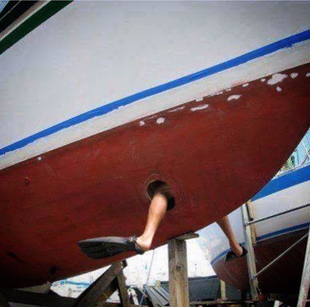 StocktonSailingClub tweet media