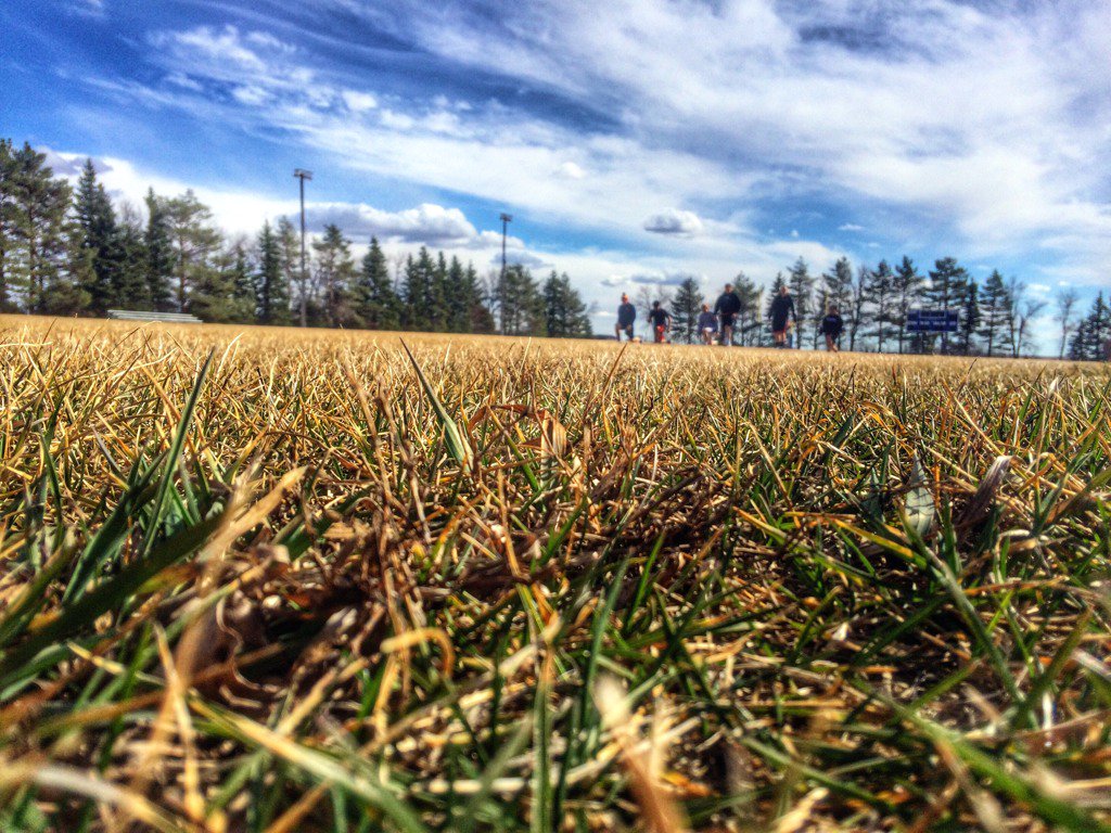 katpinke's tweet image. #7DaysofNature day 2 #trackpractice. Brown grass. Greening up soon from last night's rain. I nominate @wagfarms